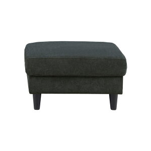 _Si|Cg10{ubNtCf[JÁ^ Xc[ Ibg} l| 75cm u  Vv _ k RpNg rt|PbgRC rO lp tbg