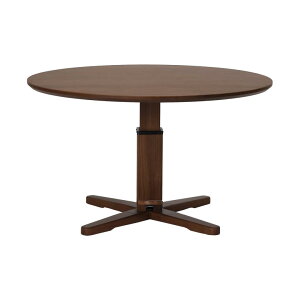 _Si|Cg10{ubNtCf[JÁ^ _CjOe[u 4l| 120 ~ ~e[u ~` ی` iK ؐ  Vv _ ؐe[u Eh^C