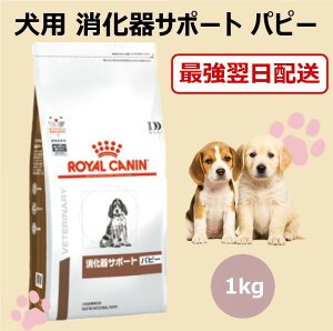 CJi  T|[g ps[ hC 1kg