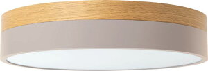_Si12{ȏI^BRID ubh OLIKA LED CEILING LIGHT Ver.2 O[W IJ GC[fB[ V[O Cg Rt  V[OCg LED  F 铔 Qp q