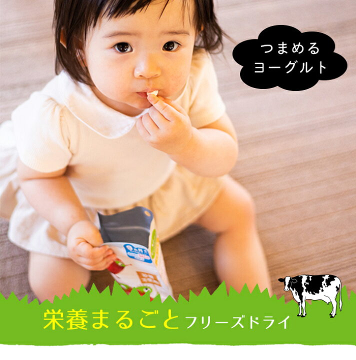 送料無料激安祭 キウイガーデン フリーズドライ プレーンヨーグルト お子様から大人まで 新感覚 ベビーフード Riosmauricio Com