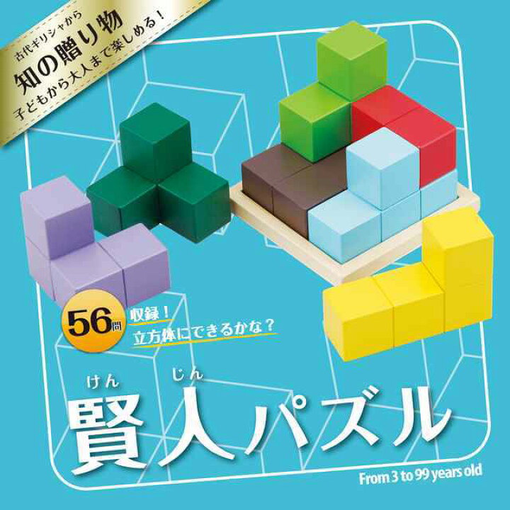 GENI 賢人パズル
