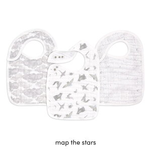 _Si14{ȏI^GCfAhAlC yS̐Kiz GCfAhAlC I[KjbNXibvtru 3 map the stars