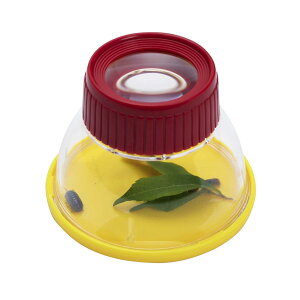 yS̐Ki {[lh z {[lh BorneLund LbY[y [y ώ@ g勾 ዾ  RpNg N qǂp ^ ł mߋ Mtg v[g a