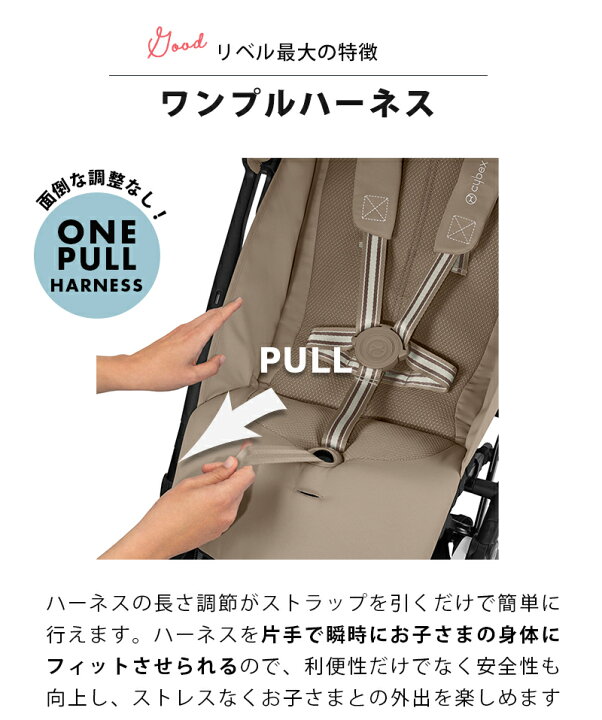 楽天市場】＼15％OFF 特別価格／ サイベックス リベル 2024 キャンディ 