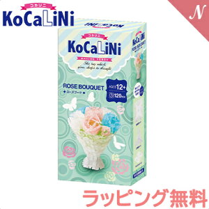 bsO KoCaLiNi RJj [Yu[P 12΁` m ߋ ubN Mtg