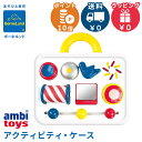 ボーネルンド アクティビティ・ケース ガルト社 アンビトーイ アクティビティケース ambi toys おもちゃ アクティビティトイ ビジーボード 仕掛けおもちゃ 知育玩具 0歳 1歳 誕生日 プレゼント ギフト クリスマス 出産祝い 男の子 女の子 送料無料