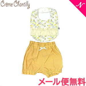 yS̓{zy[֑Ήz N[VeB t[u[P t X^C u} Zbg CG[ 悾ꂩ X^C Creme Chantilly