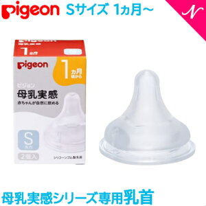 Ki sW  p 1` STCY 2 pigeon  ֓