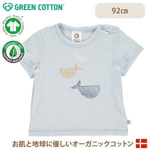 y[֖z O[Rbg Musli I[KjbNRbg NW  gbvX TVc Whale Print short sleeve T 92cm I[KjbN I[KjbNRbg q xr[ GREEN COTTON f}