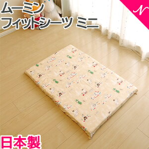 _Si12{ȏI^[~ tBbgV[c ~jTCY 60×90cm 100 _uK[[ { [