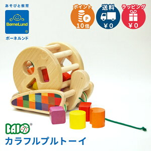 {[lh BorneLund o Jtvg[C ؂̂/vgC/킹  NX}X v[g bsOΉ