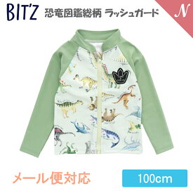 ＼全商品12倍！／UVカット【メール便対応】 BIT'Z ビッツ 恐竜図鑑総柄 ラッシュガード ライム 100cm UVカット F.Oインターナショナル エフオー あす楽対応