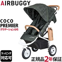 楽天市場】エアバギー グラデーションカモの通販