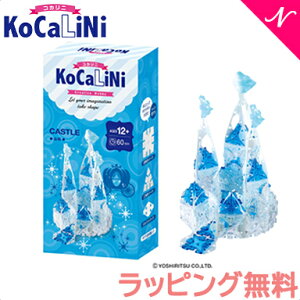 bsO KoCaLiNi RJj  12΁` m ߋ ubN w Mtg q l a lC LaQ L[