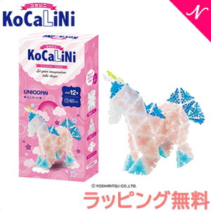 bsO KoCaLiNi RJj jR[ 12΁` m ߋ ubN w Mtg q l a lC LaQ L[