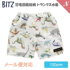 ＼全商品12倍！／UVカット【メール便対応】 BIT'Z ビッツ 恐竜図鑑総柄 トランクス水着 キナリ 100cm UVカット F.Oインターナショナル エフオー あす楽対応