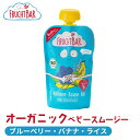 有機フルーツのベビースムージー 合成添加物不使用 FRUCHTBAR フルッフバー ブルーベリー・バナナ・ライス オーガニックベビースムージー 砂糖不使用 ベビーフード ベビーおやつ