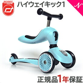 ＼全商品12倍+400円クーポン！／【正規代理店商品】 ハイウェイキック1 Scoot&Ride スクート＆ライド ハイウェイキック 1 ブルーベリー キッズスクーター キックボード あす楽対応