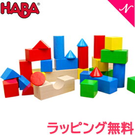 HABA ハバ社 ブロックス カラー 木のおもちゃ ドイツ製 積木 ペグさし 木製玩具 知育玩具 あす楽対応 送料無料