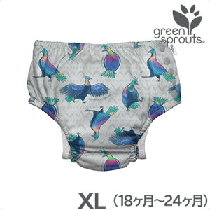 xr[  y[֑Ήz i play ACvC XCpc Gray Himalayan Monal O[q}i XL 18`24 Vїp pc ނ  Ic@\tXCpc greensprouts by ipla