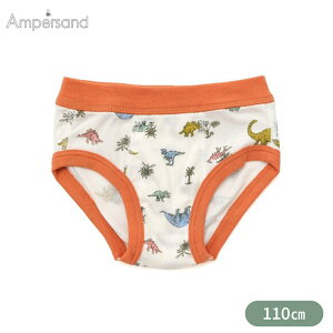 F.OK̔X Ampersand ApTh  u[tpc IW 110cm  j̎q pc LbY j V[c  BOYS