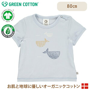 y[֖z O[Rbg Musli I[KjbNRbg NW  gbvX TVc Whale Print short sleeve T 80cm I[KjbN I[KjbNRbg q xr[ GREEN COTTON f}