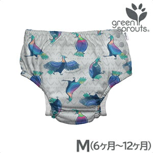 xr[  y[֑Ήz i play ACvC XCpc Gray Himalayan Monal O[q}i M 6`12 Vїp pc ނ  Ic@\tXCpc greensprouts by iplay