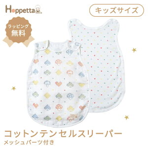 Hoppetta zbyb^ VsjI sP RbgeZ X[p[ 3dK[[X[p[ bVp[ct xr[ Ԃ LbY qǂ ʋC z K[[ ΍ 