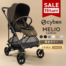 サイベックス メリオカーボン 2025