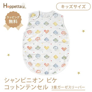 Hoppetta zbyb^ VsjI sP RbgeZ 3dK[[X[p[ LbYTCY Ԃ xr[ X[p[ ʋC z K[[ ΍ 