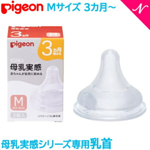 Ki sW  p 3` MTCY 2 pigeon  ֓