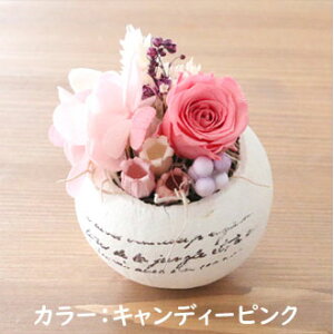 GbOJbv Lbg Egg cup kityLbgz [ ܂ ݂ o [Y vU[uht[ Lbg nhChLbg v[g Mtg 蕨 a LO j v`