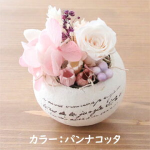 GbOJbv Lbg Egg cup kityLbgz [ ܂ ݂ o [Y vU[uht[ Lbg nhChLbg v[g Mtg 蕨 a LO j v`