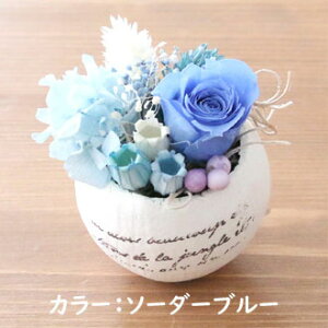 GbOJbv Lbg Egg cup kityLbgz [ ܂ ݂ o [Y vU[uht[ Lbg nhChLbg v[g Mtg 蕨 a LO j v`