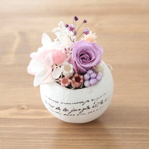 GbOJbv Lbg Egg cup kityLbgz [ ܂ ݂ o [Y vU[uht[ Lbg nhChLbg v[g Mtg 蕨 a LO j v`