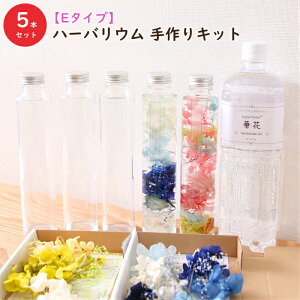 �y5�{���z�yE�^�C�v�z�n�[�o���E�� ���� �L�b�g�i�I�C��1�{�A�K���X�r5�{�A�ԍރZ�b�g5��ށj �������� Room �A���W�{ ���� �X�^�[�^�[�L�b�g ���S�� �v���U�[�u�h �h���C�t�����[ �a����