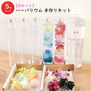 �y5�{���z�yG�^�C�v�z�n�[�o���E�� ���� �L�b�g�i�I�C��1�{�A�K���X�r5�{�A�ԍރZ�b�g5��ށj �|�b�v �A���W�{ ���� �X�^�[�^�[�L�b�g ���S�� �v���U�[�u�h �h���C�t�����[ �a�����v���[