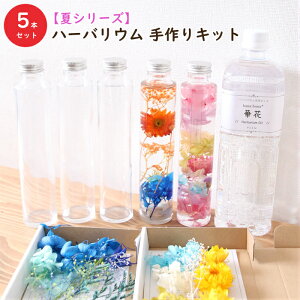 y5{zyăV[Yzn[oE LbgiIC1{AKXr5{AԍރZbg5ށj AW{  X^[^[Lbg S vU[uh hCt[ av[g 