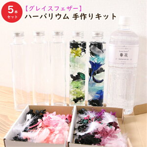 y5{zyOCXtFU[zn[oE  LbgiIC1{AKXr5{AԍރZbg5ށj AW{  X^[^[Lbg S vU[uh hCt[ av