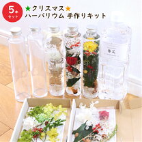 楽天市場】ハーバリウム 花材 クリスマス セットの通販