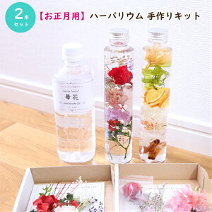 y2{zypzn[oE  LbgiIC1{AKXr2{AԍރZbg2ށj AW{ j[C[ Lbg X^[^[Lbg S vU[uh hCt[ V