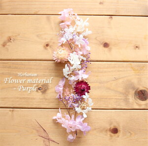 yn[oE Lbgzn[oE ԍ Zbg1{ip[vj IWi n[oE AW{ GKg Lbg X^[^[Lbg  S vU[uh hCt[ 