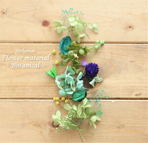 yn[oE Lbgzn[oE ԍ Zbg1{i{^jJGRj IWi n[oE AW{ GKg Lbg X^[^[Lbg  S vU[uh hCt