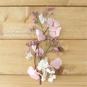 yn[oELbgz n[oE ԍރZbg 1{ i؁j Lbg t wj AEj ij TN IWi AW{  Lbg X^[^[Lbg  S v