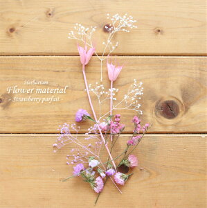 yn[oE Lbgzn[oE ԍ Zbg1{iXgx[ptFj IWi n[oE AW{ GKg Lbg X^[^[Lbg  S vU[uh h