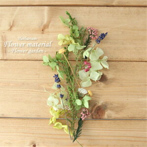 yn[oELbgz n[oE ԍރZbg 1{ iԔj Lbg t   IWi AW{ Jt Lbg X^[^[Lbg  S vU[uh hC