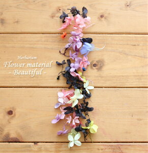 yn[oE Lbgzn[oE ԍ Zbg1{ir[eBtj IWi n[oE AW{ GKg Lbg X^[^[Lbg  S vU[uh hCt