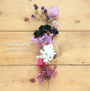 yn[oE Lbgzn[oE ԍ Zbg1{iVh[p[vj IWi n[oE AW{ GKg Lbg X^[^[Lbg  S vU[uh hC