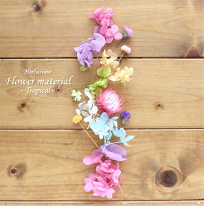 yn[oE Lbgzn[oE ԍ Zbg1{igsJj IWi n[oE AW{ GKg Lbg X^[^[Lbg  S vU[uh hCt